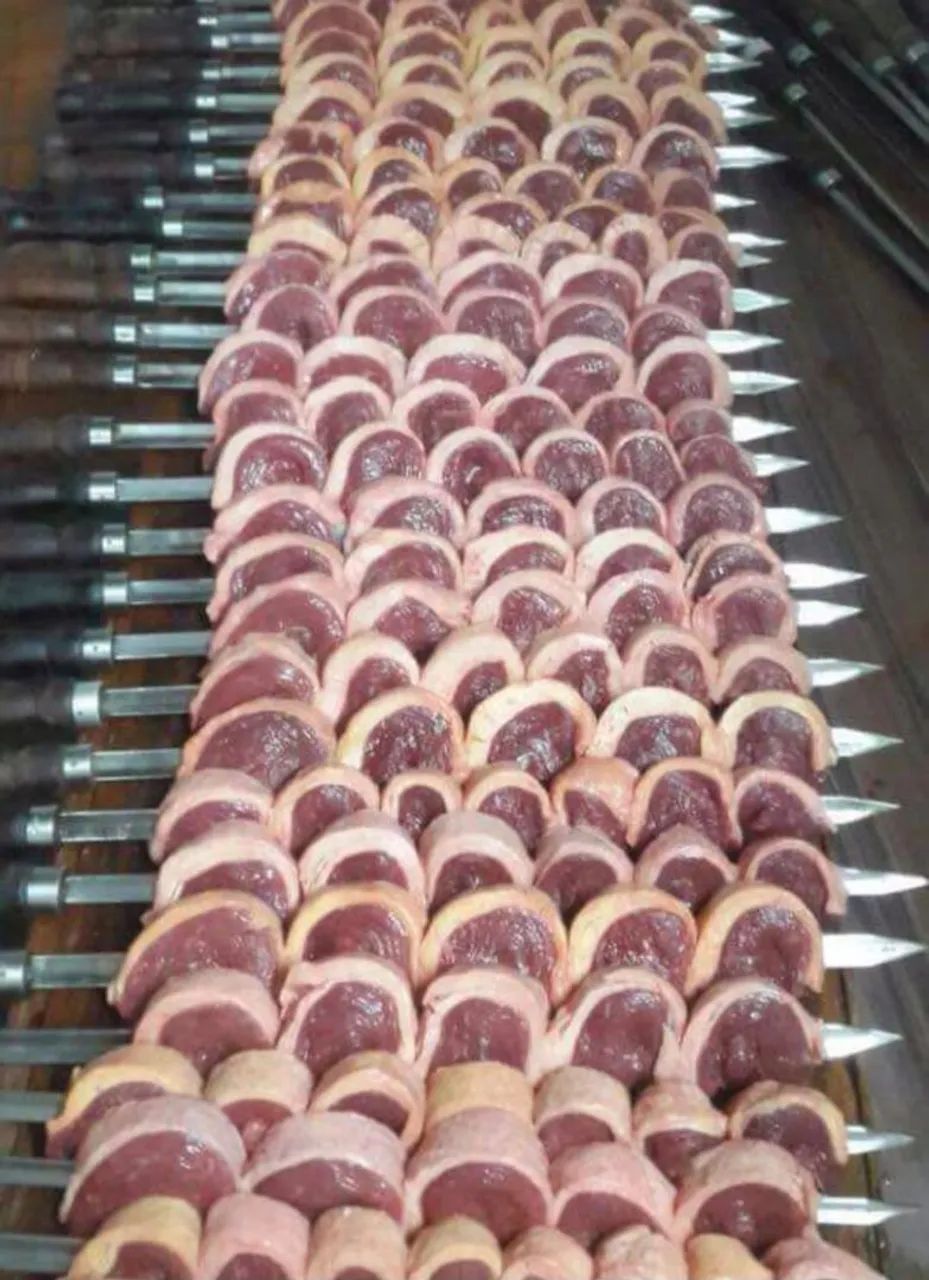 Garçons e  churrasqueiro profissionais.  - Foto 4