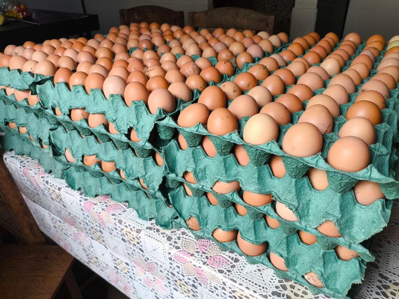 Ovos de galinha caipira  - Foto 2