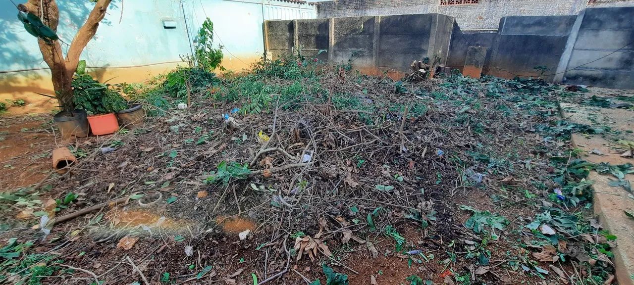 Corte e Poda de Árvores em Anápolis - Aceito Cartão