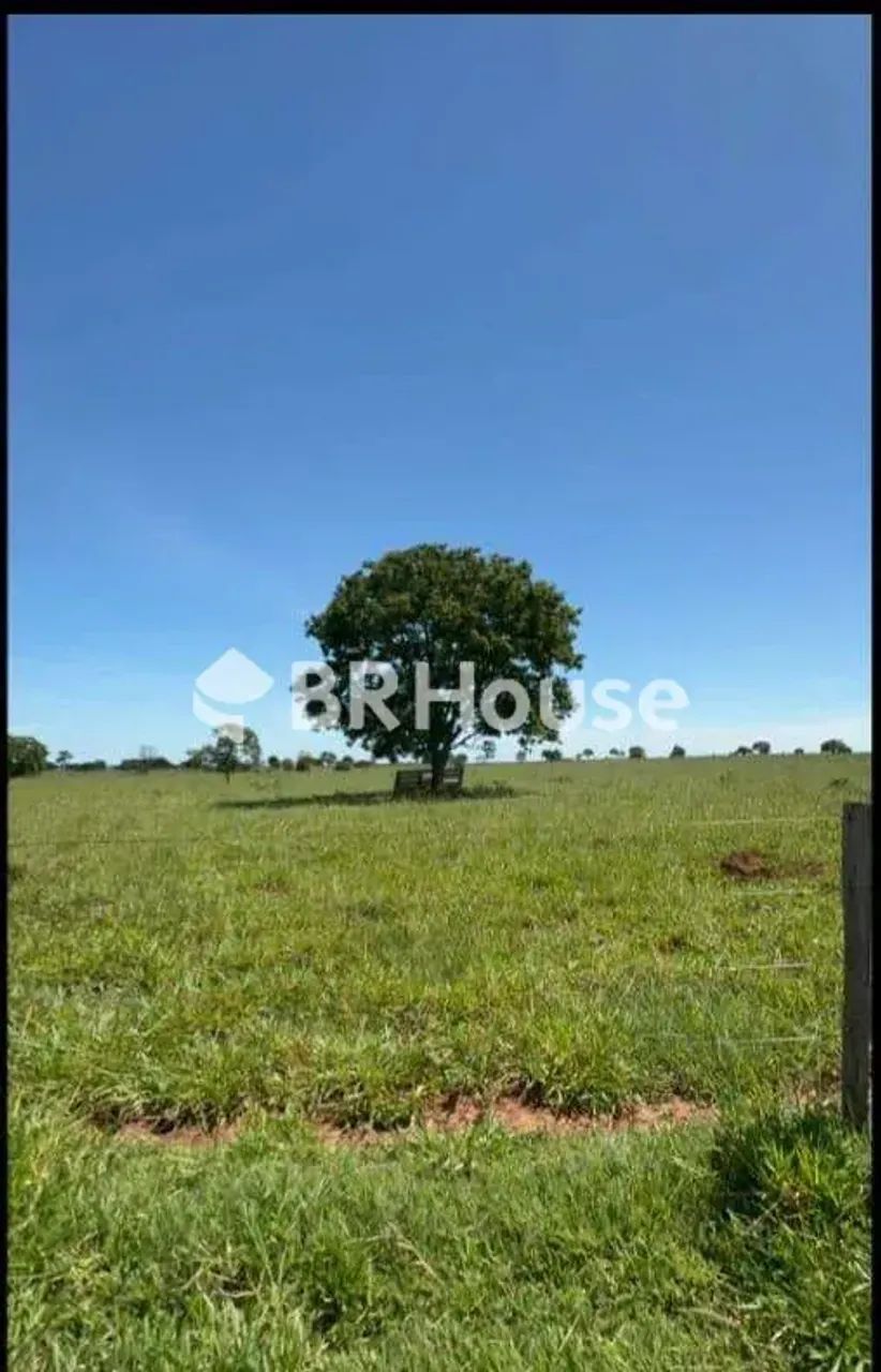 Camapuã | Fazenda 1 quarto - Foto 2
