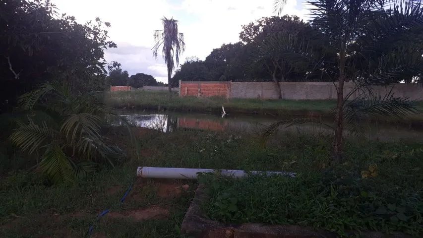 Chácara 20.000 M2 - Foto 2