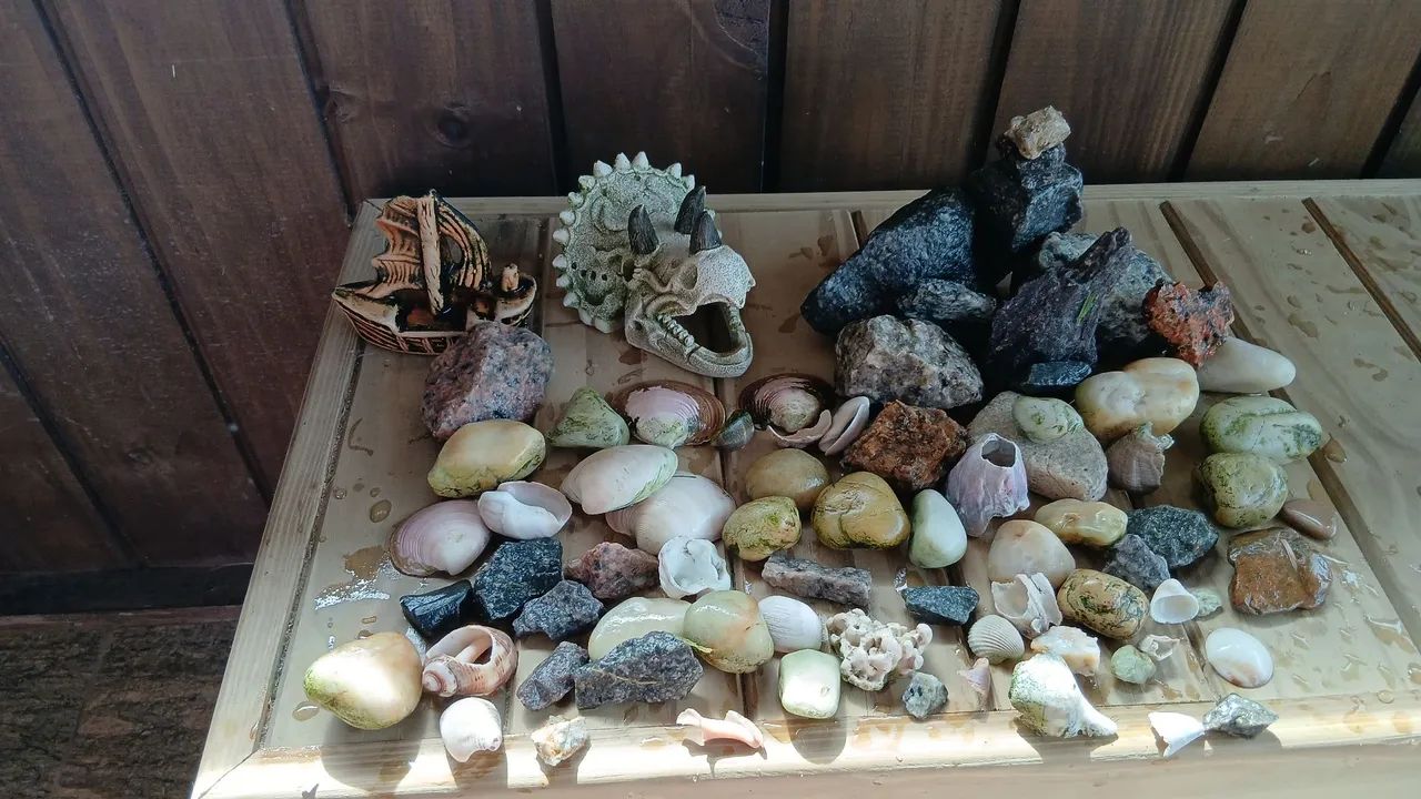 Aquario - Foto 4
