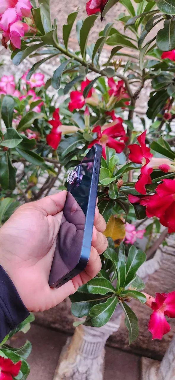 IPhone 14 todo original 