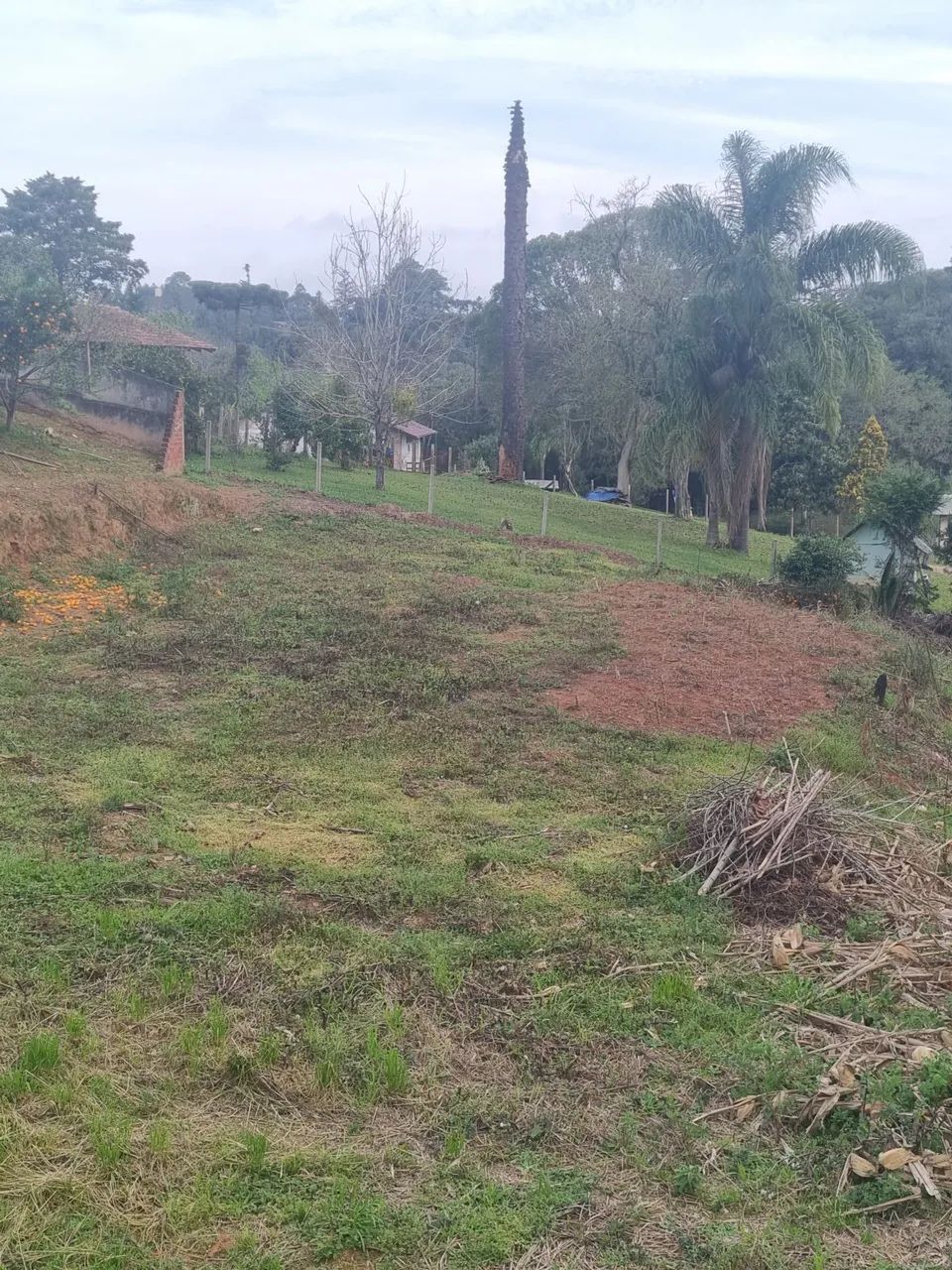 Terreno Mato Preto - Foto 4