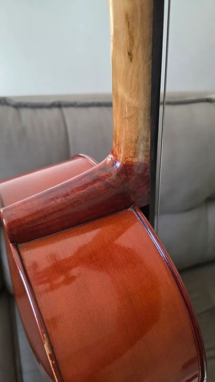 Violoncelo Parrot - Foto 4