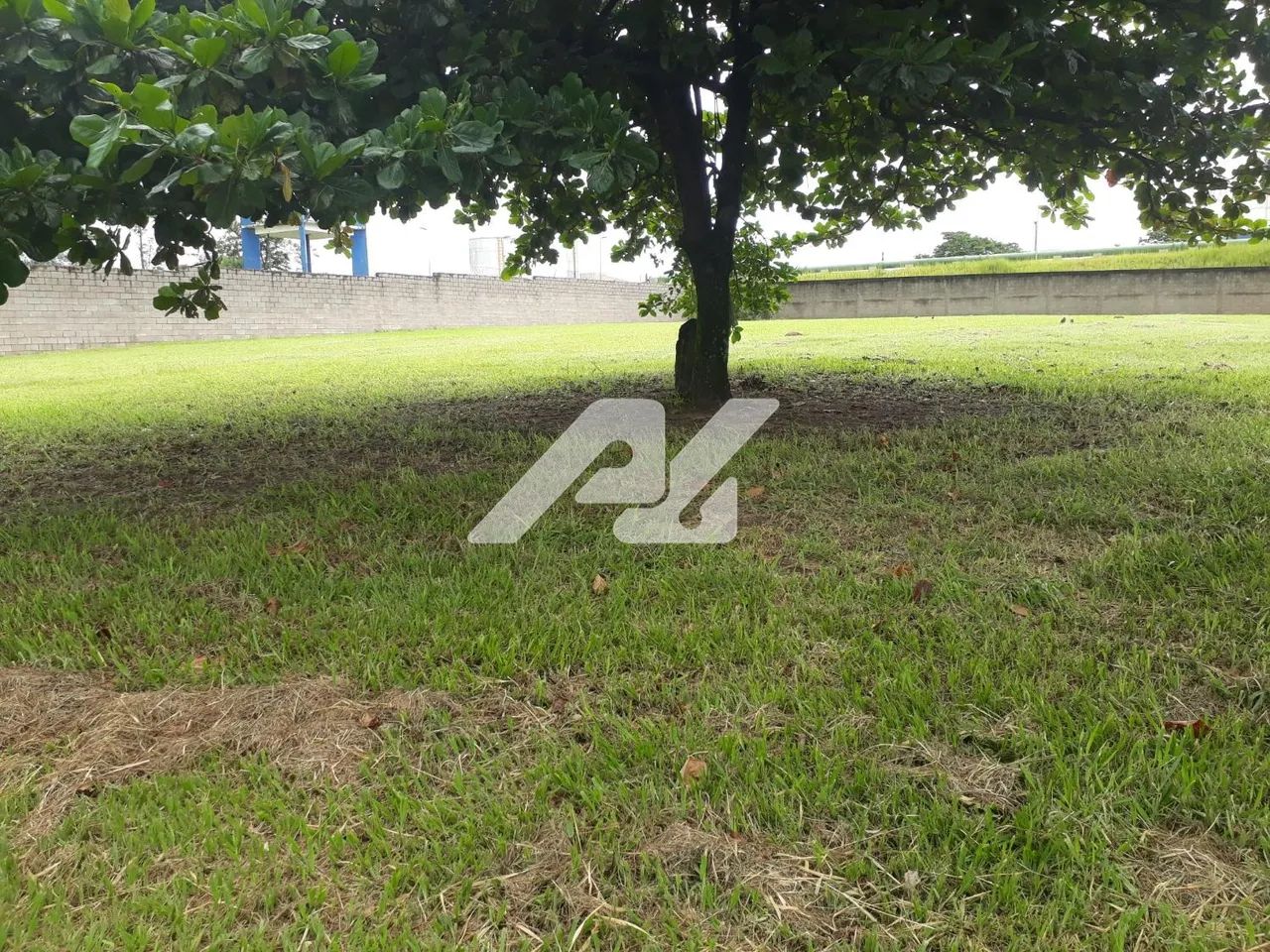 terreno - Loteamento Alphaville Campinas - Campinas - Foto 3