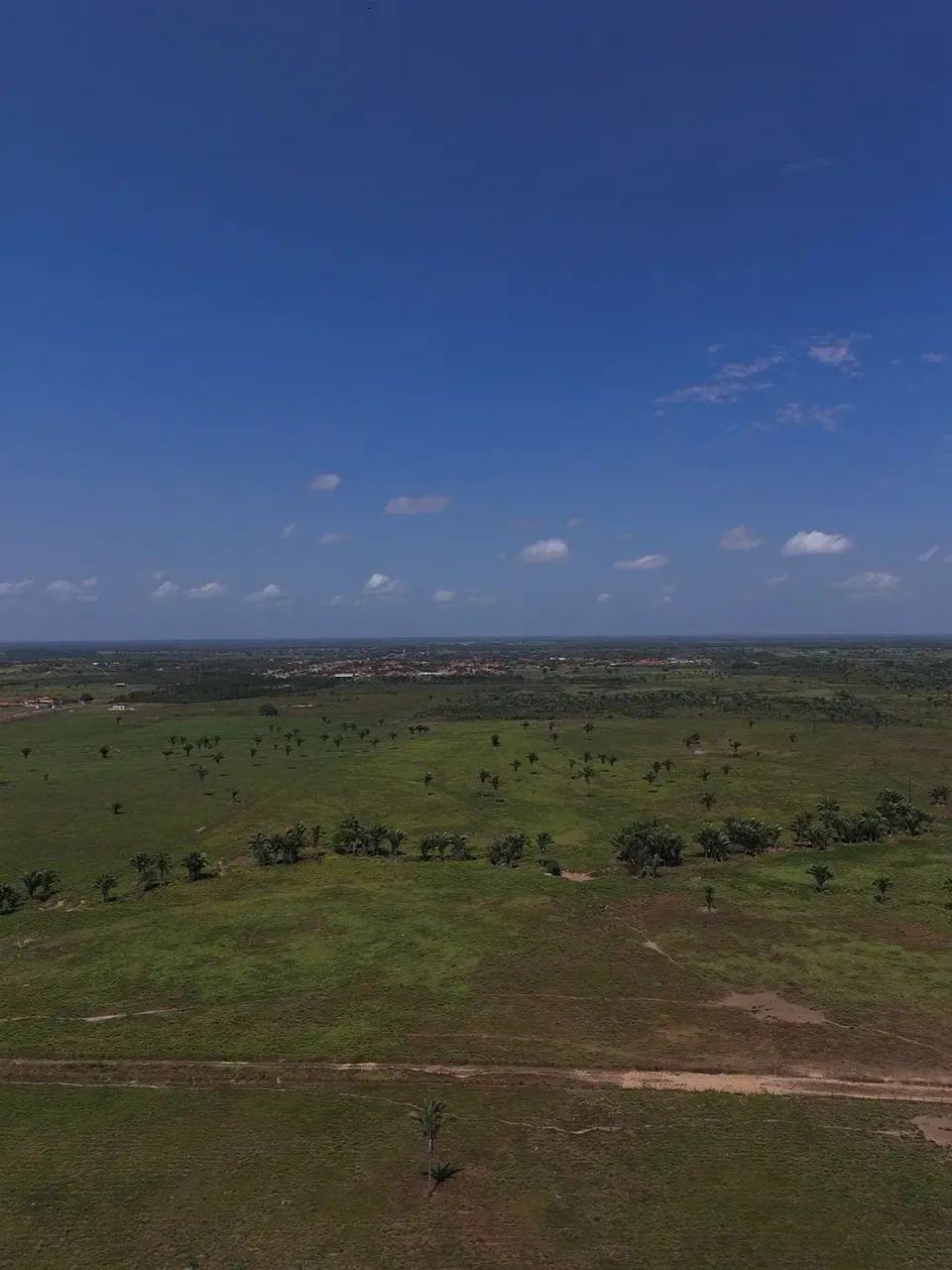 Fazenda com 830 Hectares próxima de Santa Inês - Foto 3