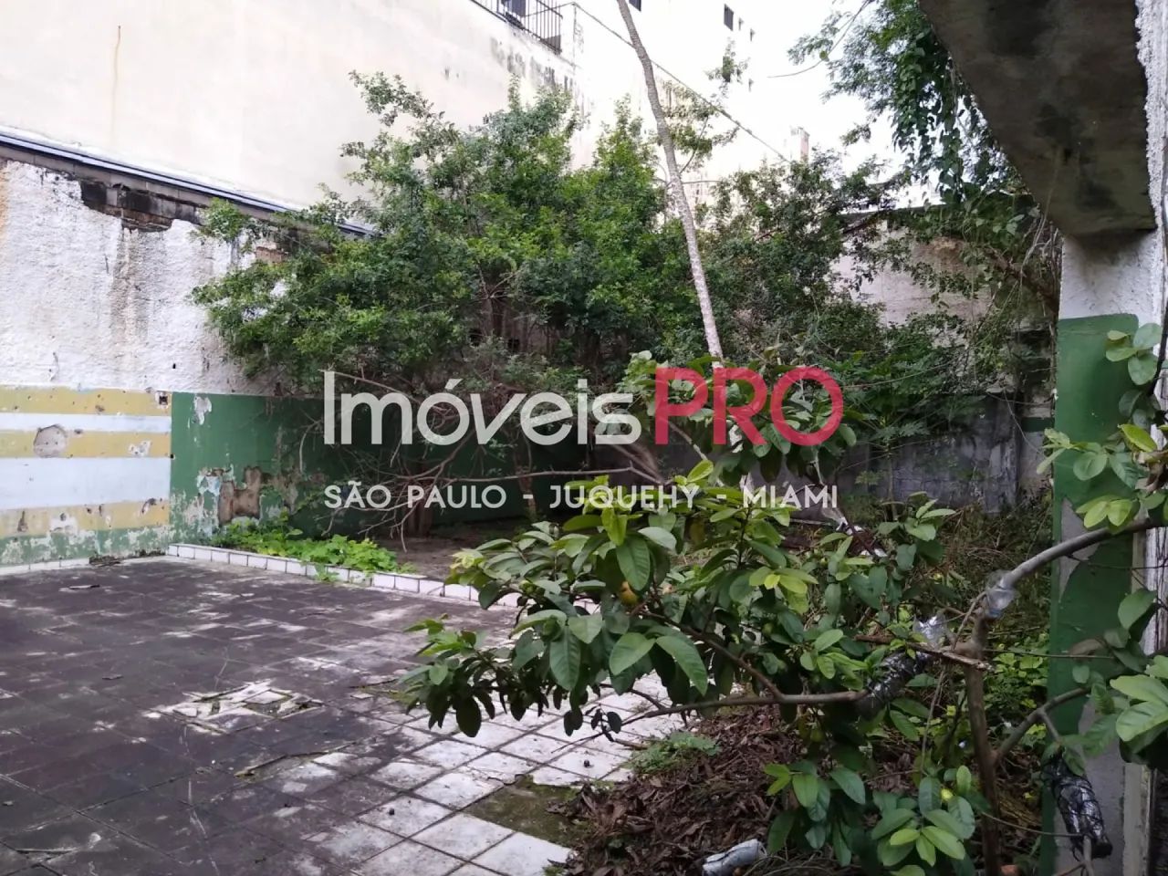 Galpão, Vila Alexandria - São Paulo - Foto 5
