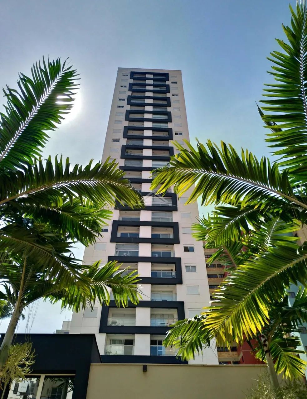 apartamento - Cambuí - Campinas