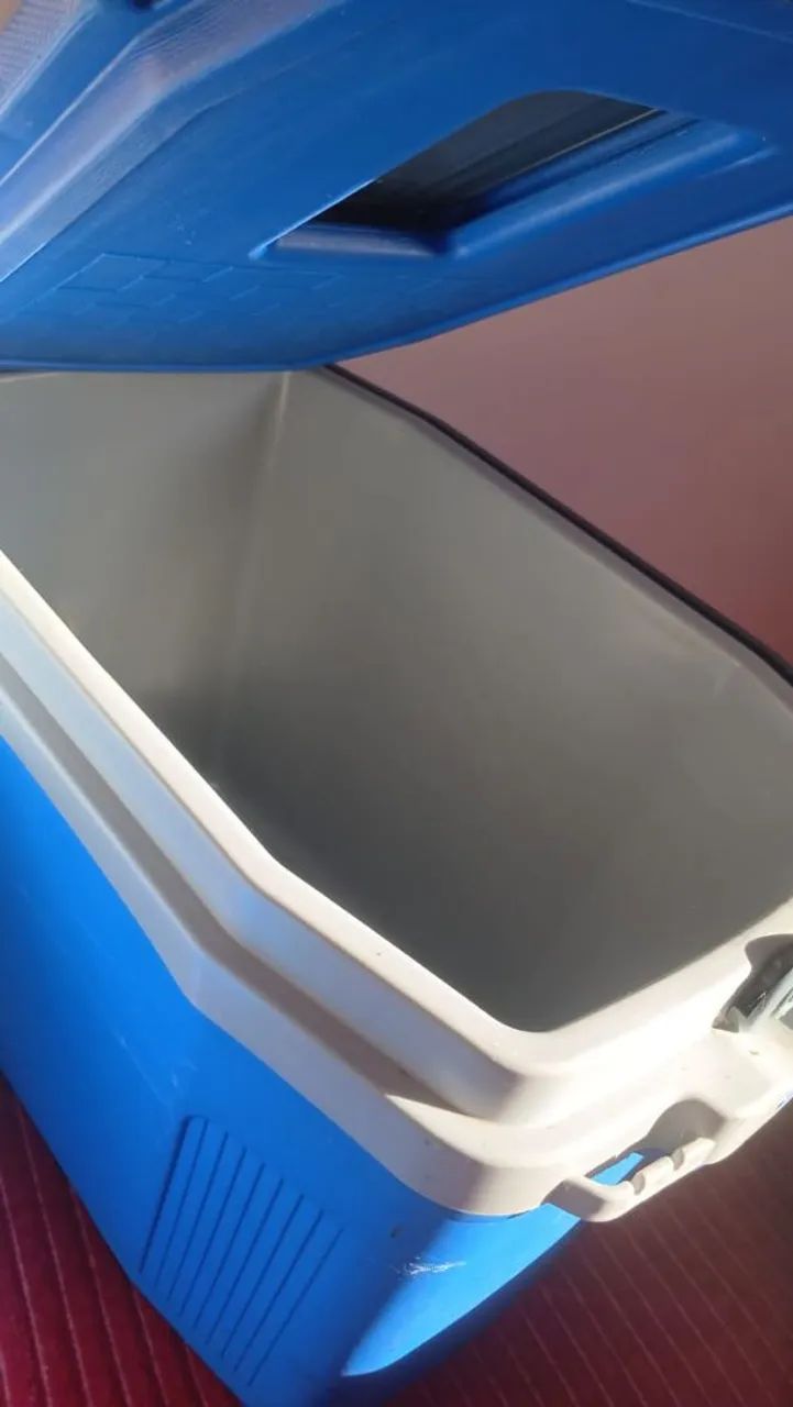 Vendo caixa térmica (cooler) - Foto 2
