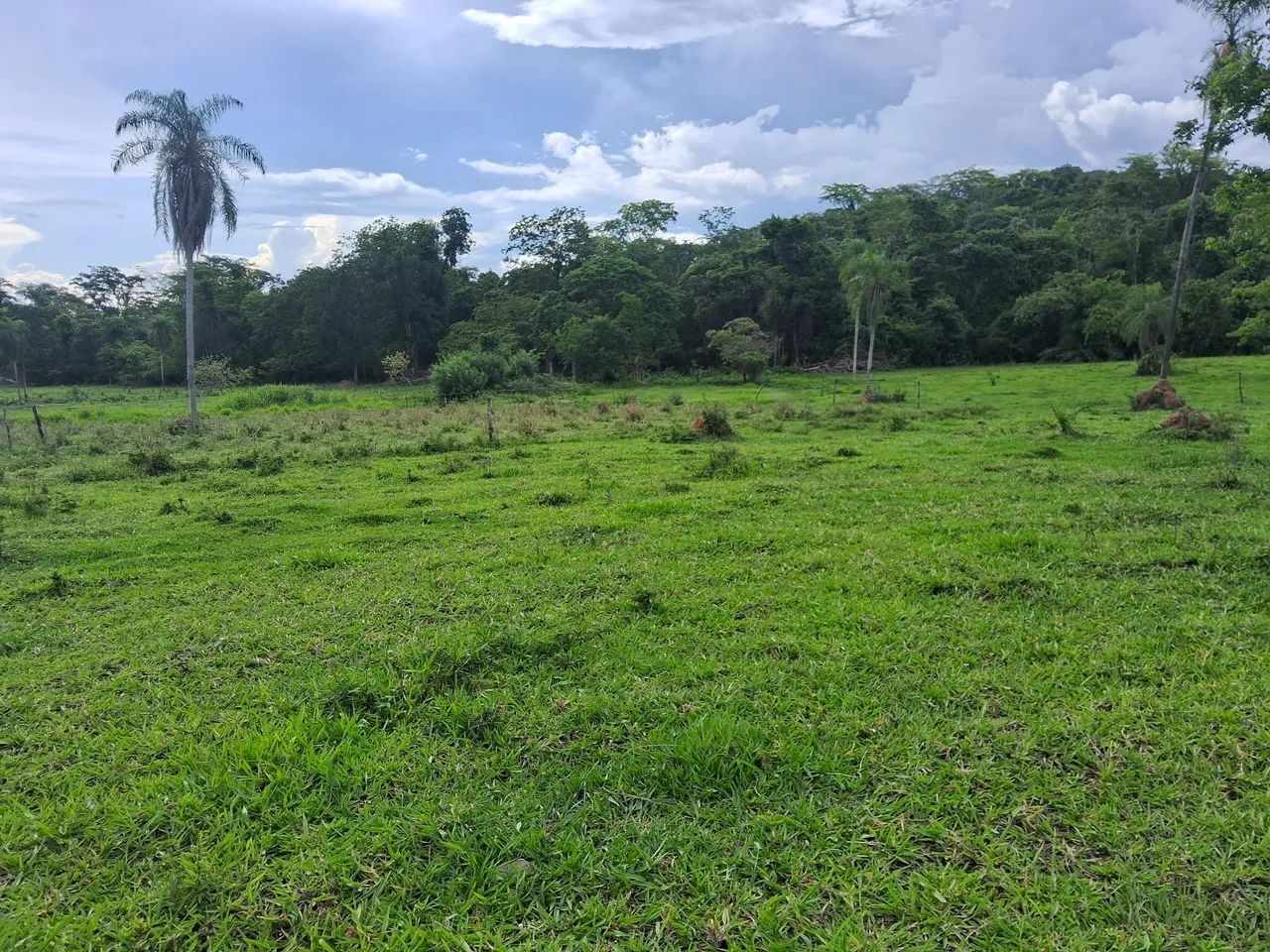 Chacara Taboco, Corguinho MS - Foto 4