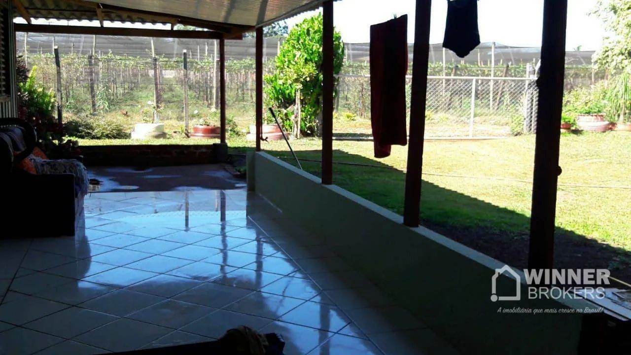 Chácara com casa e mina de água mineral em Sarandi - PR - Foto 4