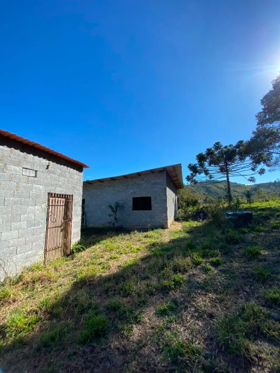 Sítio de 5,2 Hectares com Casa e Nascente - Foto 4