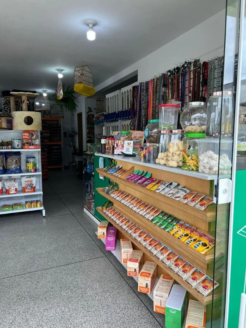 Vendo aviário - ótima oportunidade  - Foto 5