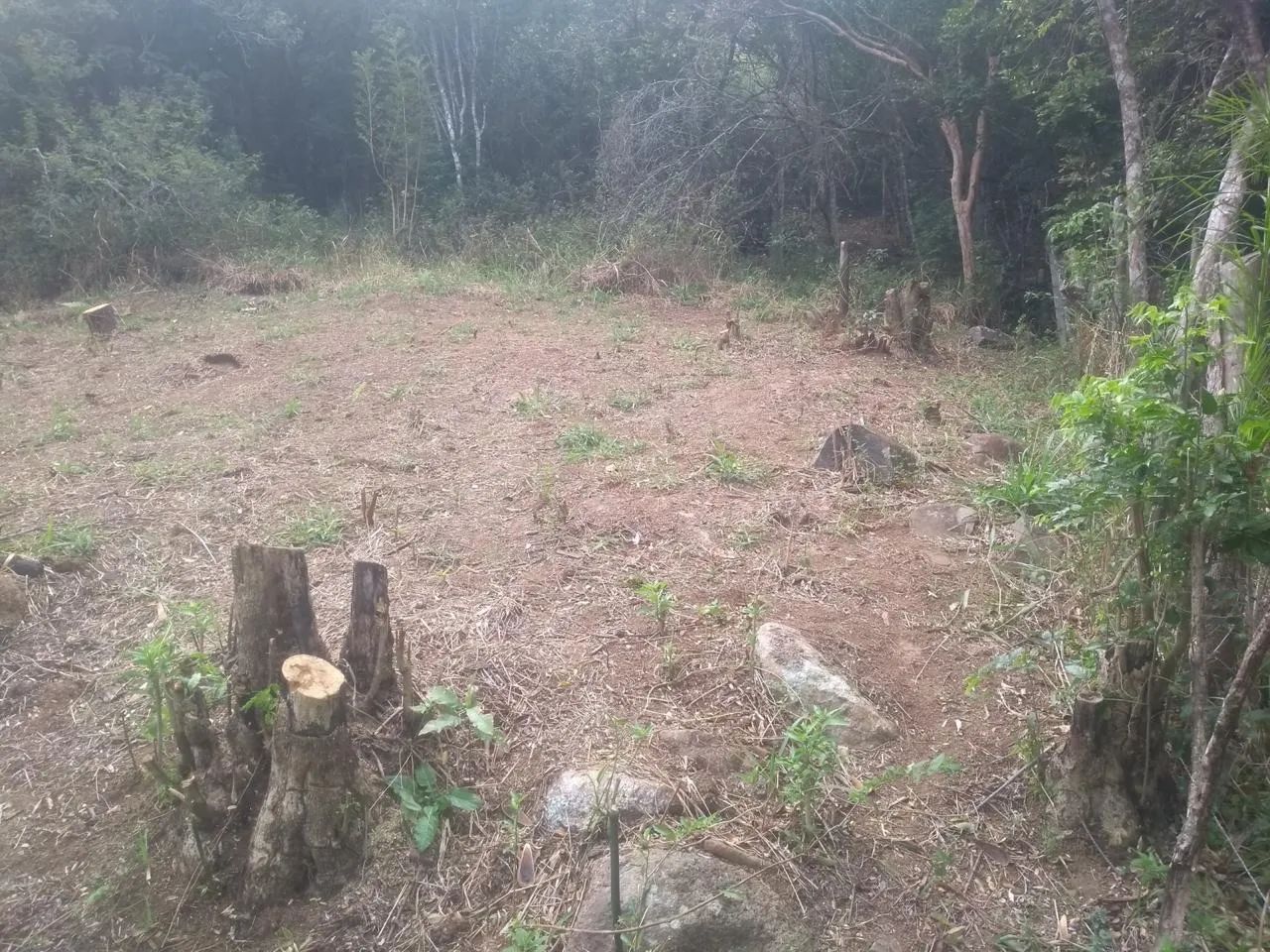 Vendo terreno na Costeira  - Foto 3