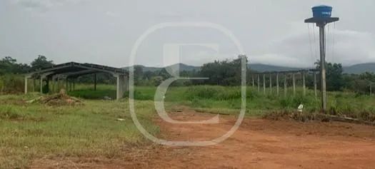 Galpão com 2 dormitórios para venda e locação no bairro Plano Diretor Sul - Foto 4