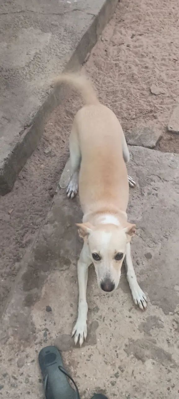 Doação 