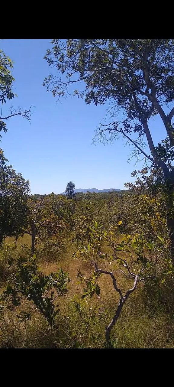 Sítio 34ha em Natividade Tocantins documentado  - Foto 5