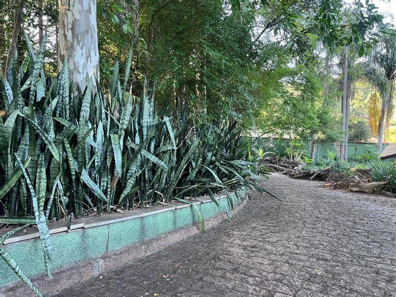 Chácara à venda e para alugar em Vinhedo, Centro, com 4 suítes, com 11650 m² - Foto 4