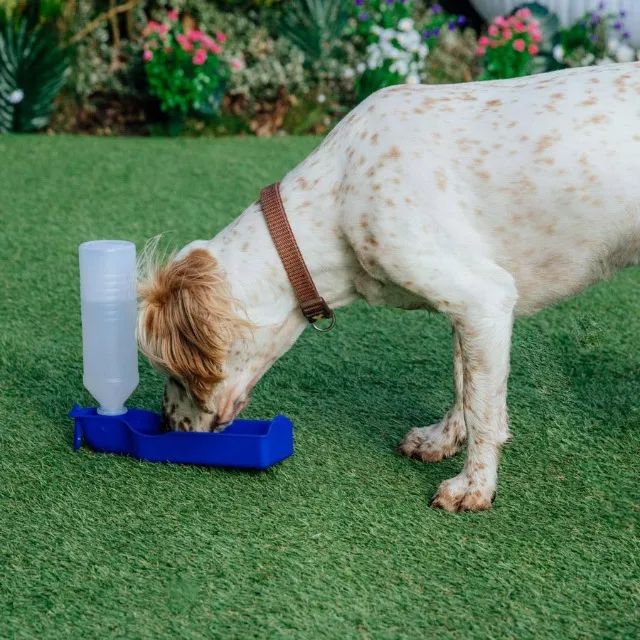 Bebedouro Portátil Pet 250ml- Garrafa com Dispenser de Água para Cães e Gatos - Foto 2