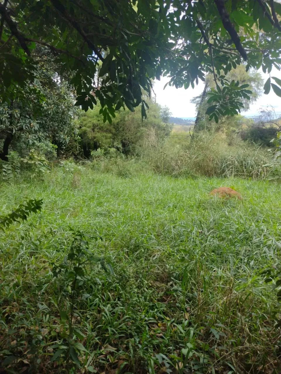 Terreno com  1128 me² em Vale Verde - Valinhos - SP - Foto 2