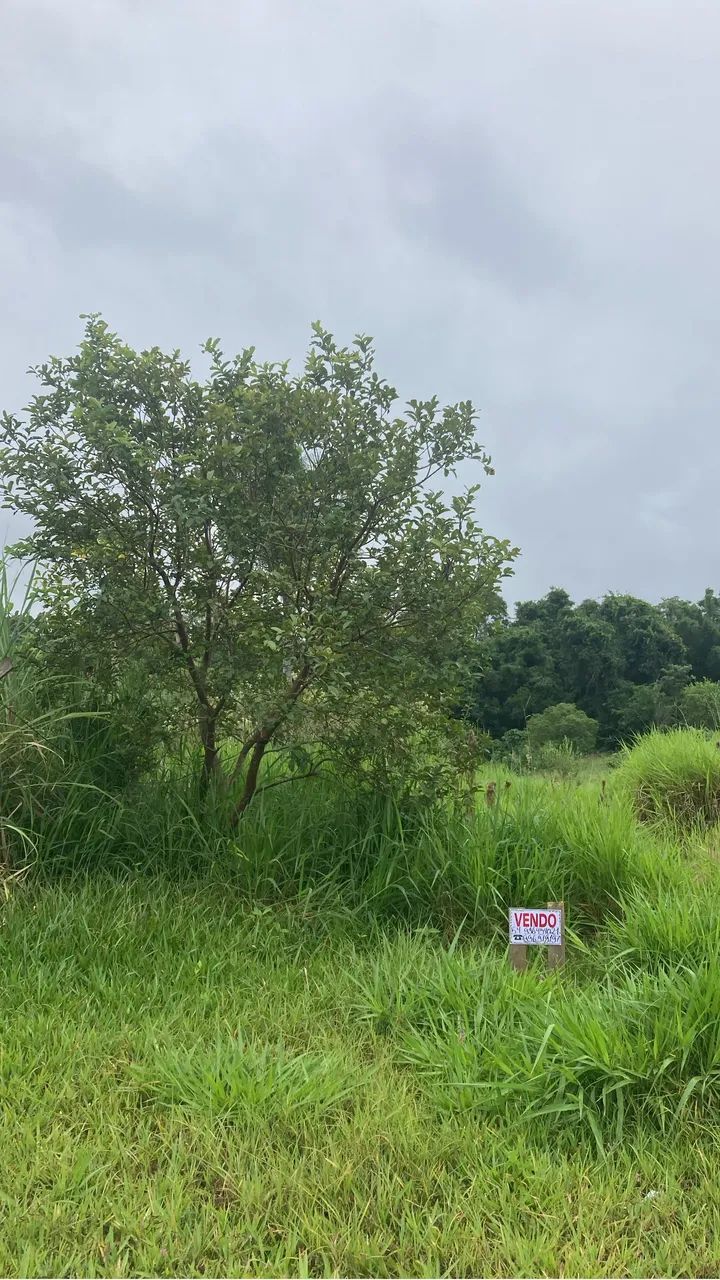 Vendo terrenos em fazenda vila nova  - Foto 8