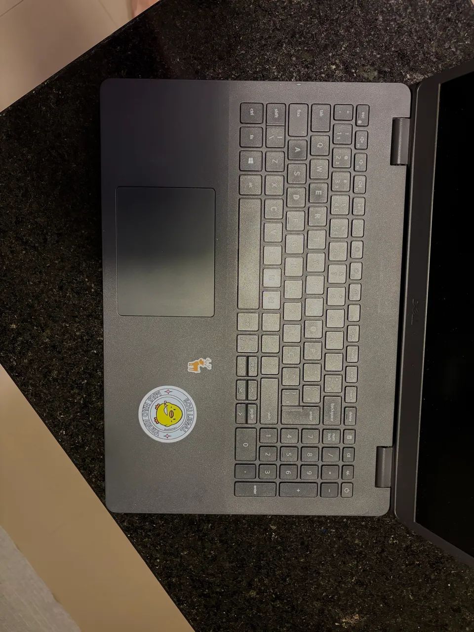 Notebook Dell Inspiron 3501 i3 10ª Geração | 12GB RAM | SSD 256GB