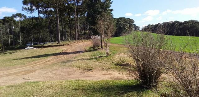 Fazenda Para Plantio de Grãos, Área Mecanizável - Foto 13