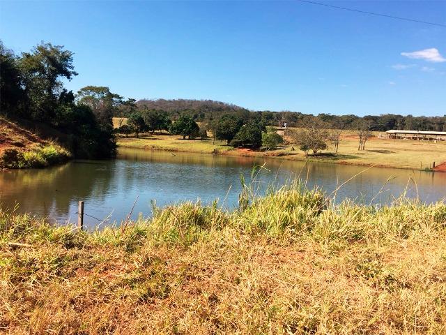 Fazenda no município de Nerópolis-GO - Foto 5