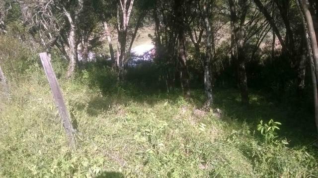Terreno em Santa Barbara de Ana Reck - Foto 5