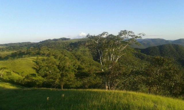 Fazenda e Cotas para Reposição Florestal - Foto 2
