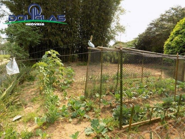 Douglas Imóveis- Tem Sítio 2500m², à Venda, Águas Claras - Foto 16