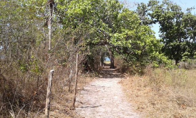Sítio fundos para lagoa em Caucaia - Foto 7