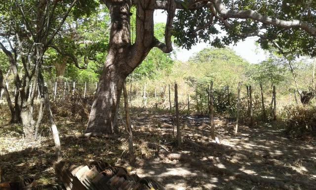 Sítio fundos para lagoa em Caucaia - Foto 8