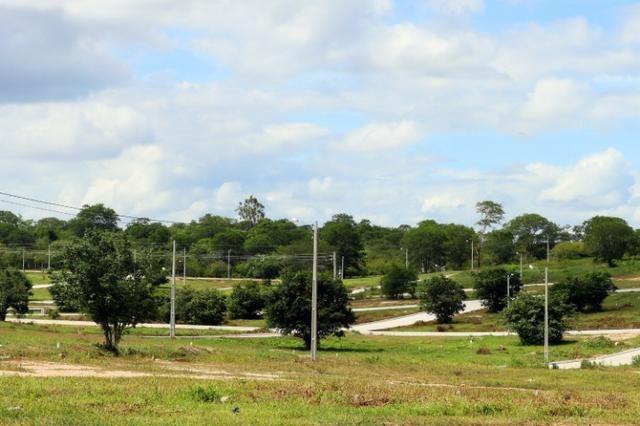 Loteamento ao lado ufpe em Caruaru- 264 m2 pronto pra construir - Foto 5