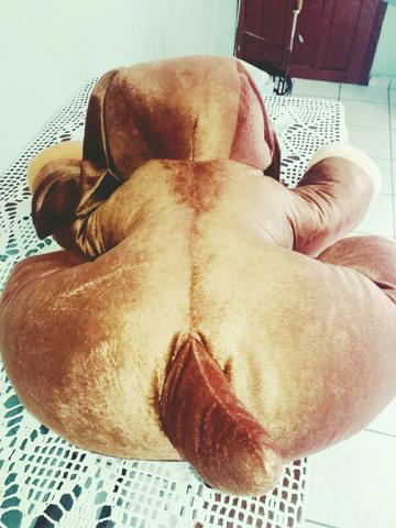 Cachorro pelúcia gigante 1M