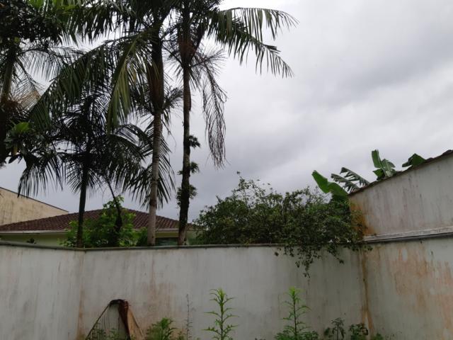 Casa para alugar com 3 dormitórios em Pirabeiraba, Joinville cod:08525.001 - Foto 18