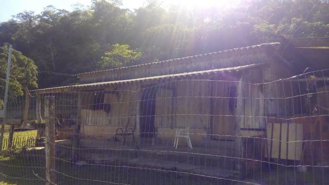 Fazenda e Cotas para Reposição Florestal - Foto 10