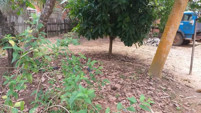 Casa grande parece chácara ,aceito proposta avista - Foto 9