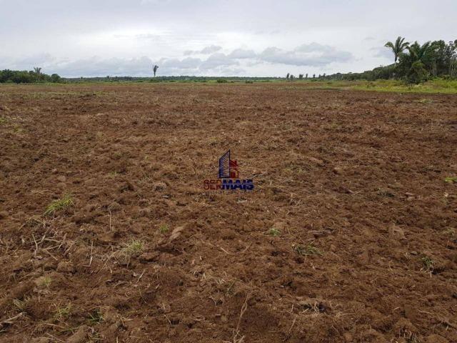 Fazenda à venda, por R$ 25.000.000 - Zona Rural - Humaita/AM - Foto 9