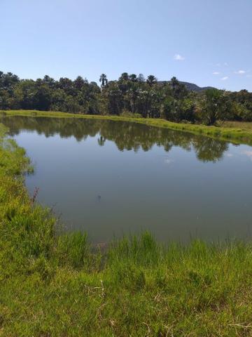 Vendo chácara na agrovila das palmeiras porteira fechada - Foto 3