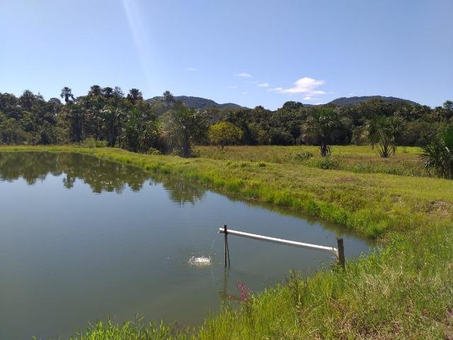 Vendo chácara na agrovila das palmeiras porteira fechada - Foto 10