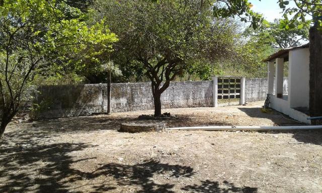 Sítio fundos para lagoa em Caucaia - Foto 3
