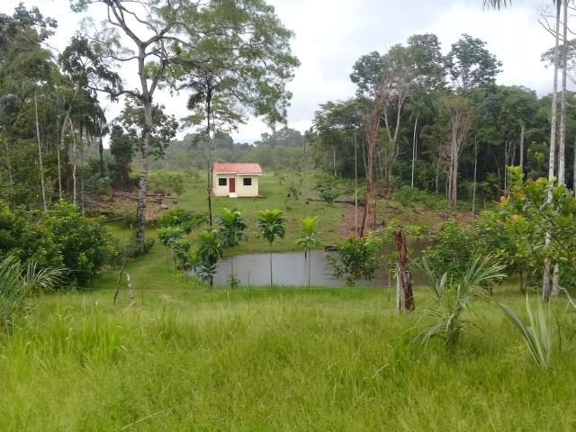 Vende-se Chácara Sentindo Acre,Com Água Natural - Foto 4