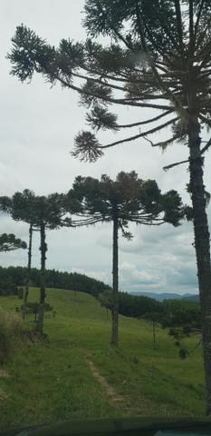 Terreno em Bom Retiro/área rural em Bom Retiro - Foto 12