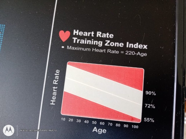 esteira tp400e preço