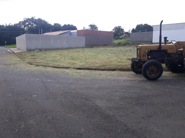 Limpeza de terrenos - Foto 2
