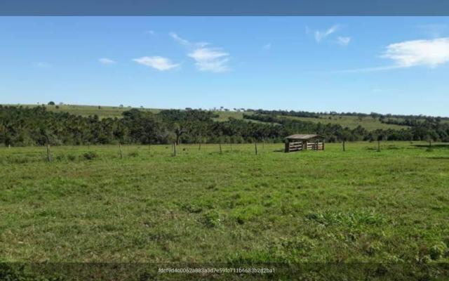 Fazenda município prata - Foto 2