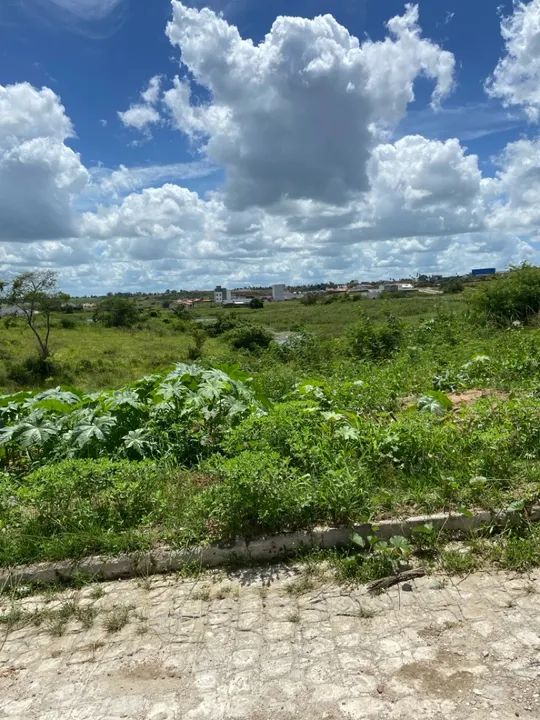 Terreno 10x25 no Loteamento Jardim das Aguas em Sapé - Foto 2