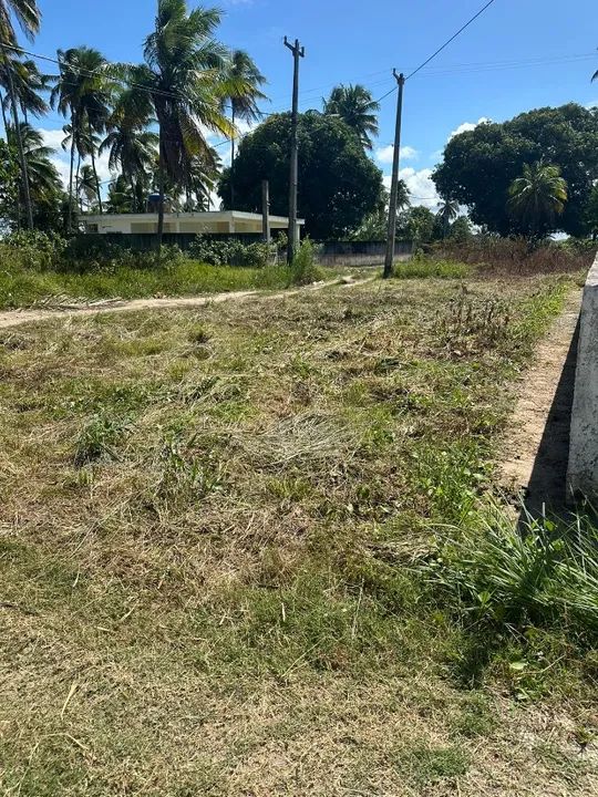 Oferta | Terreno 10x25 - 250m² em Brarra de Sirinhaém | Praia do Gaiamum - Foto 3